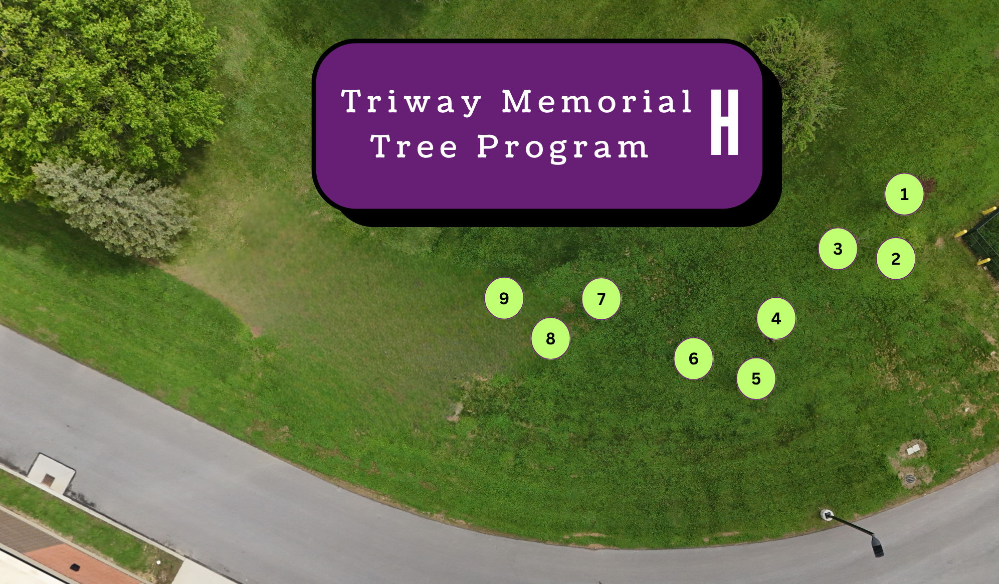 An aerial view of a grassy area featuring a sign for the Triway Memorial Tree Program.